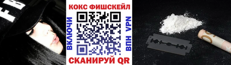 Cocaine FishScale купить наркоту Новый Уренгой