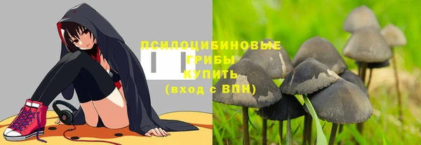 гидропоника Балахна