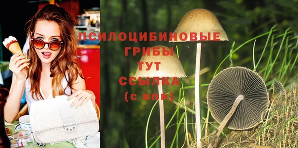 a pvp Баксан
