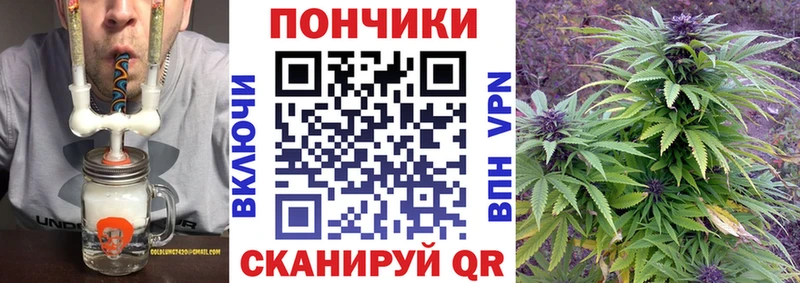 Конопля SATIVA & INDICA  Новый Уренгой 